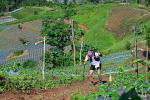 BIB: 1460
                            <button type="button" onclick="openModal(13379123)" class="btn btn-primary btn-sm float-right btn-popup" data-toggle="modal" data-target=".modal-high-quality">
                        <i class="fas fa-shopping-cart"></i> Add to Cart
                    </button>
                                            <button type="button" onclick="isThisMe(13379123, true)" class="btn btn-success btn-sm float-right btn-popup btn-isme hidden" data-toggle="tooltip" data-placement="bottom" title="นี่คือรูปของคุณใช่ไหม คลิกที่นี่เพื่อเอาเข้าอัลบั้ม">
                        <i class="fas fa-plus"></i> Add to album
                    </button>
                    <button type="button" onclick="isThisMe(13379123, false)" class="btn btn-warning btn-sm float-right btn-popup btn-isnotme hidden">
                        <i class="fas fa-ban"></i> Remove from album
                    </button>